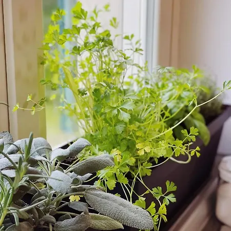 Casa Da Bertu 度假居 *