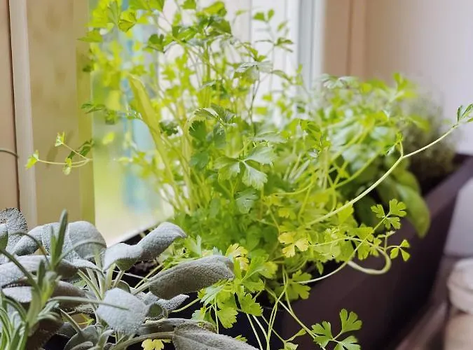 Casa Da Bertu Σπίτι διακοπών *